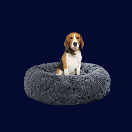 Dog Beds