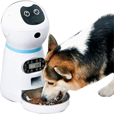Smart Automatic Pet Feeder With Voice Record Stainless Steel Lcd