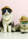 Cute Dog cat Glasses Pet Goggles Glasses Suitable For Puppy Cat Photo Props