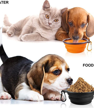 2PCS Folding Bowl Outdoor Portable Dog Bowl Drinking Bowl Dog Bowl Cat Bowl Pet accompanying Cup Dog Bowl