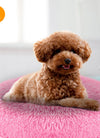 Pet Dog Bed Soft Warm Fleece Puppy Cat Bed Dog Cozy Nest Sofa Bed Cushion L Size
