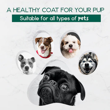 BeNat Pets. All-Natural Pet Shampoo Bar. Oat. 5.8 oz.