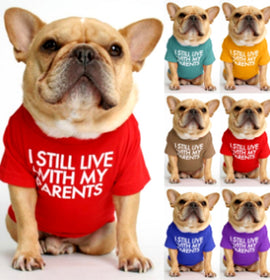 dog clothes starling English short bulldog pet clothing round collar T-shirt Teddy than panda dog clothing