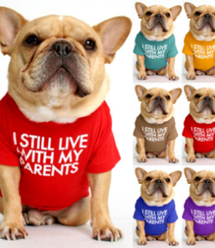 dog clothes starling English short bulldog pet clothing round collar T-shirt Teddy than panda dog clothing