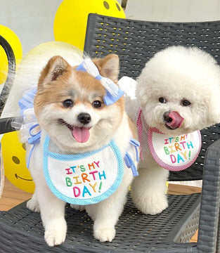 New Happy Birthday Embroidery Dog bib Pet Cat Dog bib Mouth towel