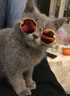 Cute Dog cat Glasses Pet Goggles Glasses Suitable For Puppy Cat Photo Props