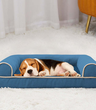 Classic Sofa Theme Dog Bed