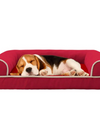Classic Sofa Theme Dog Bed