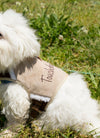 Touchdog Tough-Boutique Adjustable Fashion Dog Harness And Leash
