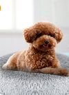 Pet Dog Bed Soft Warm Fleece Puppy Cat Bed Dog Cozy Nest Sofa Bed Cushion L Size