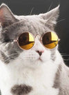 Cute Dog cat Glasses Pet Goggles Glasses Suitable For Puppy Cat Photo Props