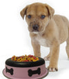 Slow Feeder Spill Proof Pet Bowl with Rubber Base and Bone Design; Pink and Black