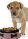 Slow Feeder Spill Proof Pet Bowl with Rubber Base and Bone Design; Pink and Black