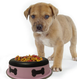 Slow Feeder Spill Proof Pet Bowl with Rubber Base and Bone Design; Pink and Black