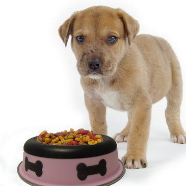 Slow Feeder Spill Proof Pet Bowl with Rubber Base and Bone Design; Pink and Black