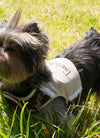 Touchdog Tough-Boutique Adjustable Fashion Dog Harness And Leash