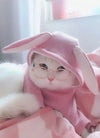 Cute Dog cat Glasses Pet Goggles Glasses Suitable For Puppy Cat Photo Props