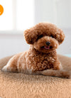 Pet Dog Bed Soft Warm Fleece Puppy Cat Bed Dog Cozy Nest Sofa Bed Cushion L Size