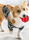 Dog Squeaky Ball Toy; Pet Chew Toy For Dog; Tooth Cleaning Ball Bite Resistant Pet Supplies
