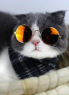 Cute Dog cat Glasses Pet Goggles Glasses Suitable For Puppy Cat Photo Props