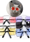 Cute Dog cat Glasses Pet Goggles Glasses Suitable For Puppy Cat Photo Props