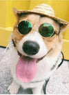 Cute Dog cat Glasses Pet Goggles Glasses Suitable For Puppy Cat Photo Props