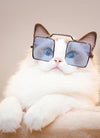 Cute Dog cat Glasses Pet Goggles Glasses Suitable For Puppy Cat Photo Props