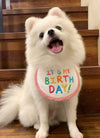 New Happy Birthday Embroidery Dog bib Pet Cat Dog bib Mouth towel