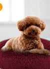 Pet Dog Bed Soft Warm Fleece Puppy Cat Bed Dog Cozy Nest Sofa Bed Cushion L Size
