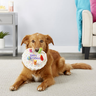 Dog plush toys; pets gnawing bones; sounding toys; teeth cleaning; fun birthday cakes; dog toys; dog gifts