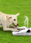 Dog Water Fountain Outdoor Dog Pet Water Dispenser Step-on Activated Sprinkler