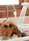 1pc Pet Shower Tub Faucet Sprayer; 49.21