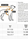 Dog Print Adjustable Collar; suitable For Large & Small Dogs