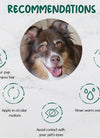 BeNat Pets. All-Natural Pet Shampoo Bar. Oat. 5.8 oz.