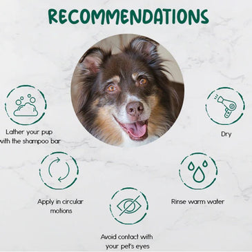 BeNat Pets. All-Natural Pet Shampoo Bar. Oat. 5.8 oz.