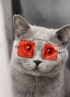 Cute Dog cat Glasses Pet Goggles Glasses Suitable For Puppy Cat Photo Props