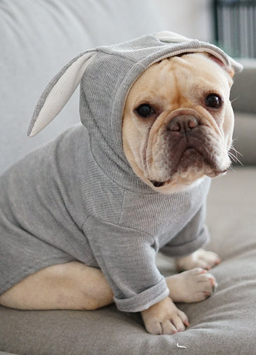 Dog Pet Clothes Spring And Autumn Clothing