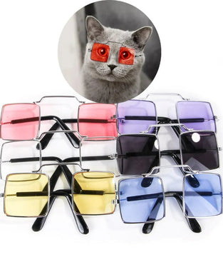 Cute Dog cat Glasses Pet Goggles Glasses Suitable For Puppy Cat Photo Props