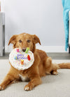 Dog plush toys; pets gnawing bones; sounding toys; teeth cleaning; fun birthday cakes; dog toys; dog gifts