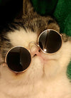 Cute Dog cat Glasses Pet Goggles Glasses Suitable For Puppy Cat Photo Props