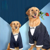 Pet clothes Big dog striped bow tie suit Dog clothes Pet supplies