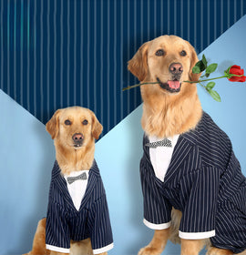 Pet clothes Big dog striped bow tie suit Dog clothes Pet supplies