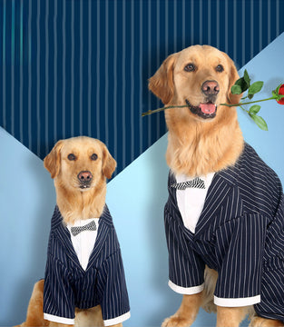 Pet clothes Big dog striped bow tie suit Dog clothes Pet supplies