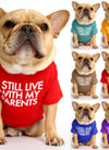 dog clothes starling English short bulldog pet clothing round collar T-shirt Teddy than panda dog clothing