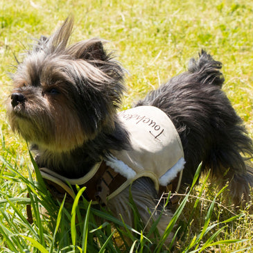 Touchdog Tough-Boutique Adjustable Fashion Dog Harness And Leash