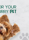 BeNat Pets. All-Natural Pet Shampoo Bar. Oat. 5.8 oz.