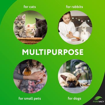 PUREVACY Automatic Pet Feeder with Programmable Meals and Portions. 6L Auto Dry Food Dispenser with App Control; WiFi Enable; 10s Voice Recorder & Dual Power Supply for Cats; Dogs and Small Pets