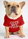 dog clothes starling English short bulldog pet clothing round collar T-shirt Teddy than panda dog clothing