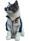 Cute Dog cat Glasses Pet Goggles Glasses Suitable For Puppy Cat Photo Props