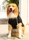 Pet Hoodie For Small Medium Large Dogs; Soft Fleece Dog Clothes With Hat & Pocket; Pet Winter Apparel
